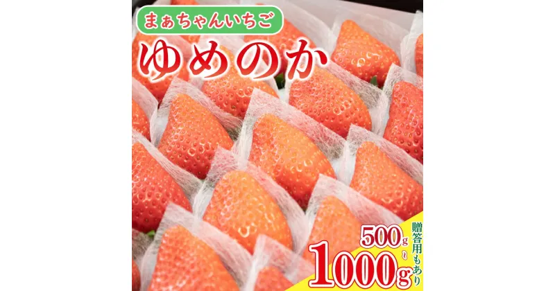 【ふるさと納税】 いちご ゆめのか 500g ～ 1kg 果物 フルーツ ストロベリー スイーツ ケーキ デザート 阿波市 徳島県 先行予約