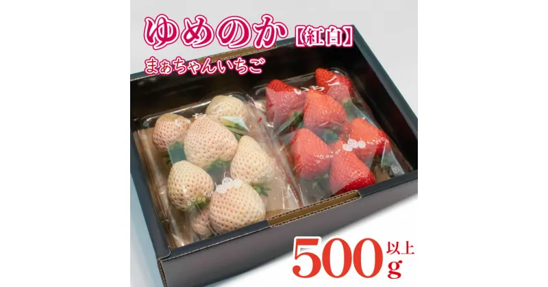 【ふるさと納税】 紅白 いちご ゆめのか 500g 以上 2パック 白いちご 果物 フルーツ 大粒 ストロベリー スイーツ 先行予約 阿波市 徳島県