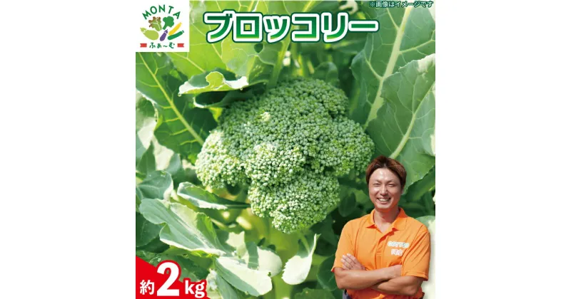 【ふるさと納税】 野菜 ブロッコリー 約 2kg 朝どれ 産地直送 先行予約 サラダ グラタン パスタ 徳島県 阿波市