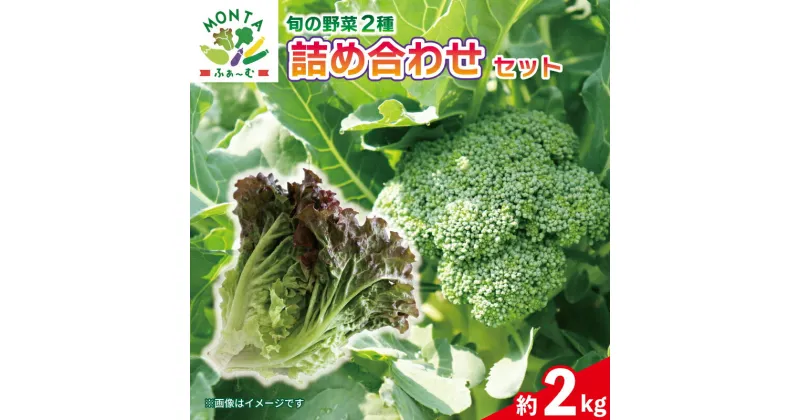 【ふるさと納税】 野菜 サニーレタス ブロッコリー 約 2kg 詰め合わせ セット 朝どれ 産地直送 先行予約 サラダ パスタ グラタン サンドイッチ 徳島県 阿波市