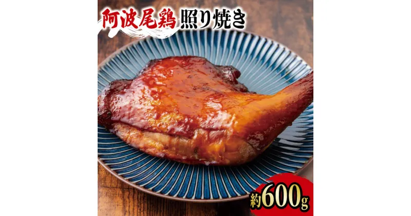 【ふるさと納税】 阿波尾鶏 鶏肉 照焼ローストチキン 1本（約600g） 鳥肉 とりにく 鶏 鳥 とり チキン モモ もも肉 スパイス 焼き鳥 焼鳥 串カツ 地鶏 ブランド 高級 ギフト プレゼント 贈答 お取り寄せ グルメ クリスマス 誕生日 冷凍 真空パック 小分け 個包装 送料無料