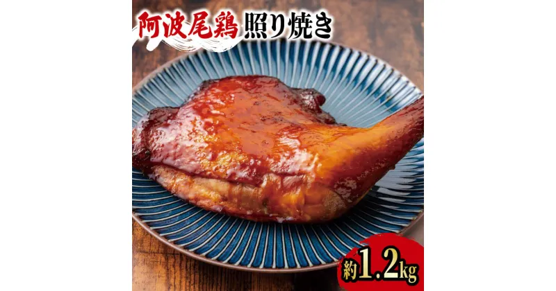 【ふるさと納税】 阿波尾鶏 鶏肉 照焼ローストチキン 2本（約1.2kg） 鳥肉 とりにく 鶏 鳥 とり チキン モモ もも肉 スパイス 焼き鳥 焼鳥 串カツ 地鶏 ブランド 高級 ギフト プレゼント 贈答 お取り寄せ グルメ クリスマス 冷凍 真空パック 小分け 個包装 送料無料