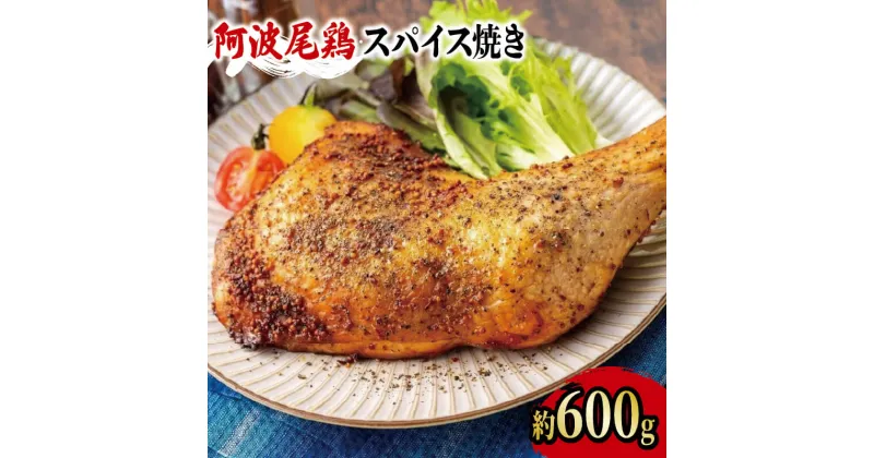 【ふるさと納税】 阿波尾鶏 鶏肉 スパイシーローストチキン 1本（約600g） 鳥肉 とりにく 鶏 鳥 とり チキン モモ もも肉 スパイス 焼き鳥 焼鳥 串カツ 地鶏 ブランド 高級 ギフト プレゼント グルメ クリスマス 誕生日 記念日 冷凍 真空パック 小分け 個包装 送料無料