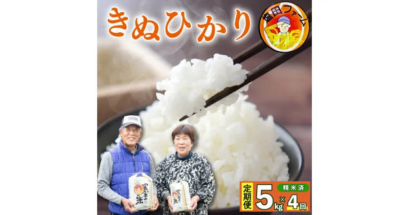 【ふるさと納税】 お米 定期便 4回 きぬひかり 5kg 令和6年産 毎月 月に1回 お米 5キロ お米5kg コメ 精米済 備蓄 備蓄米 保存 防災 災害 白米 ごはん ご飯 おにぎり お弁当 お取り寄せ 徳島県 阿波市