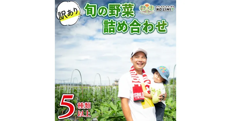 【ふるさと納税】 野菜 訳あり セット 規格外 5種以上 詰め合わせ 旬野菜 新鮮 レタス グリーンリーフ サニーレタス ロメインレタス キャベツ 赤キャベツ 大根 ニラ スナップエンドウ さやえんどう 人参 玉ねぎ ゴーヤ オクラ 茄子 白茄子 生姜 青ネギ 徳島県 阿波市 四国