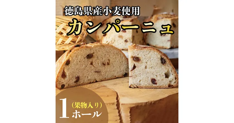 【ふるさと納税】 カンパーニュ 果物 入り 1ホール パン 天然酵母 全粒粉 国産 小麦 徳島県 阿波市 お米 の代わりに