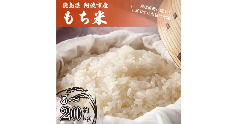 【ふるさと納税】 米 もち米 5kg ～ 20kg 新米 令和6年度産 餅 赤飯 おはぎ 5キロ 10キロ 20キロ コメ 備蓄 備蓄米 保存 防災 災害 おこわ 雑煮 大福 あられ イベント 餅つき 先行予約 阿波市 徳島県