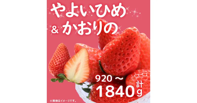 【ふるさと納税】 先行予約 訳あり いちご やよいひめ かおりの 2種 選べる容量 計920～1840g 苺 ストロベリー 果物 フルーツ ケーキ ゼリー ジュース アイス シャーベット いちご大福 スイーツ デザート ジャム 不揃い 規格外 家庭用 甘い 人気 おすすめ お取り寄せ グルメ