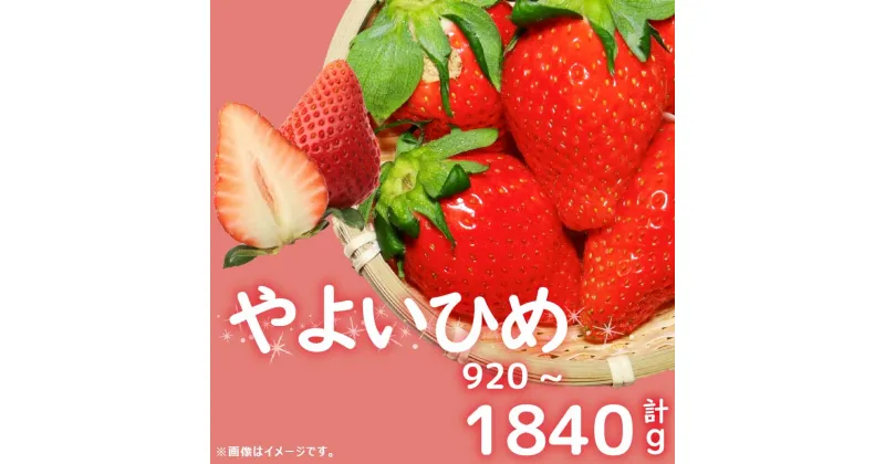 【ふるさと納税】 先行予約 訳あり いちご やよいひめ 計 920～1840g 苺 ストロベリー 果物 フルーツ ケーキ ゼリー ジュース アイス シャーベット チョコ フルーツサンド 洋菓子 和菓子 スイーツ デザート ジャム 不揃い 規格外 甘い 人気 おすすめ お取り寄せ グルメ