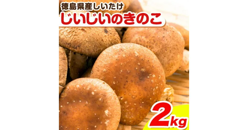 【ふるさと納税】じいじいのきのこ 2kg しいたけ《30日以内に出荷予定(土日祝除く)》一般社団法人美馬観光ビューロー 徳島県 美馬市 生しいたけ(菌床) 特産品 美馬市産 シイタケ 椎茸 揚げ物 煮物 鍋料理 BBQ 野菜 肉厚 送料無料