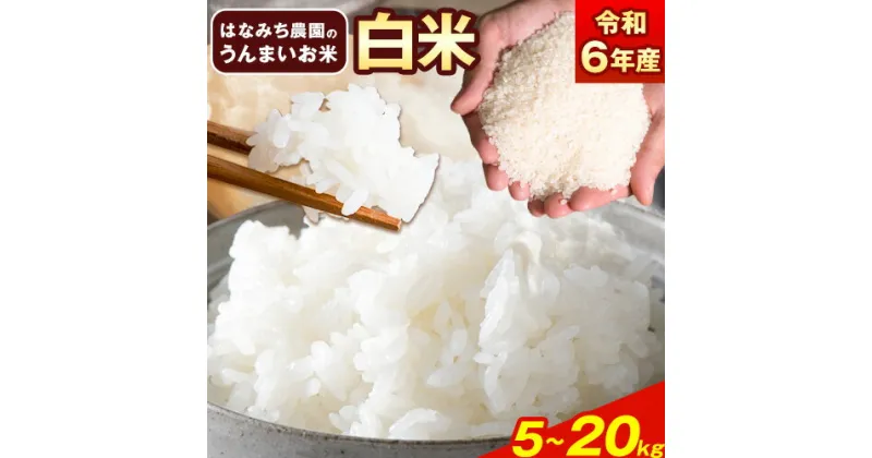 【ふるさと納税】＜ 新米 ＞ はなみち農園のうんまいお米・白米 令和6年産 5kg 10kg 20kg 白米 美馬市産 実森ラボラトリー株式会社 自家製小麦のお店mimori《30日以内に出荷予定(土日祝除く)》 送料無料 徳島県 美馬市