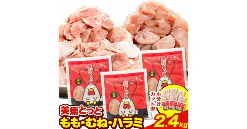 【ふるさと納税】 美馬とっと もも肉 むね肉 鶏ハラミ 塩だれ味 セット 計 2.4kg まるほ食品株式会社 《30日以内に出荷予定(土日祝除く)》 鶏肉 味付 とり肉 レトルト 簡単調理 一人暮らし おつまみ 冷凍 夕飯 送料無料 徳島県 美馬市 ファミリーパック 若鶏 からあげ 鶏