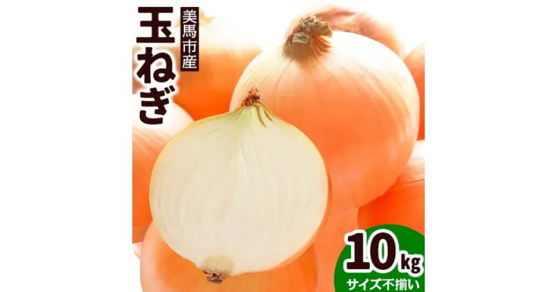 【ふるさと納税】〈 先行予約 〉 玉ねぎ 野菜 10kg サイズ不揃い 有限会社美馬グリーンサービス《2025年6月下旬‐9月上旬出荷》たまねぎ 徳島県 美馬市 送料無料