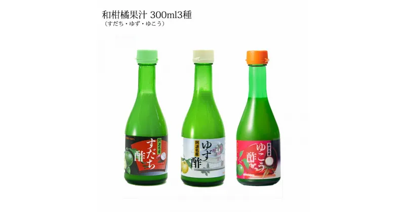 【ふるさと納税】和柑橘果汁 300ml 3種セット