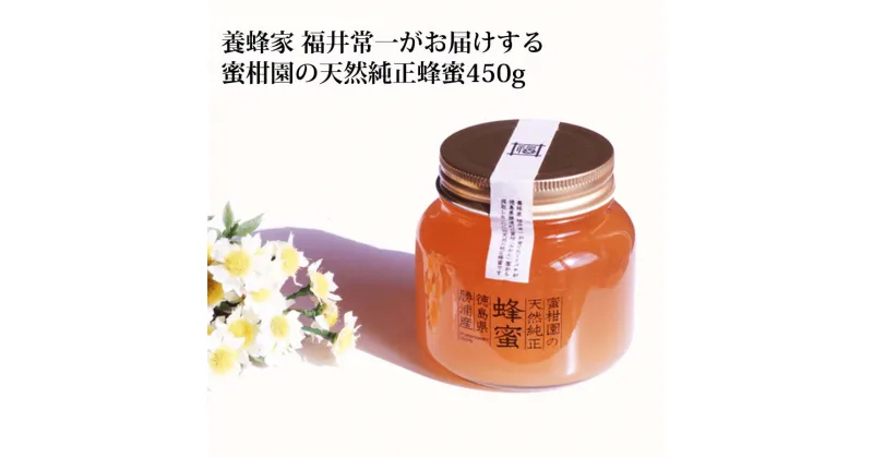 【ふるさと納税】蜜柑園の天然純正蜂蜜 450g