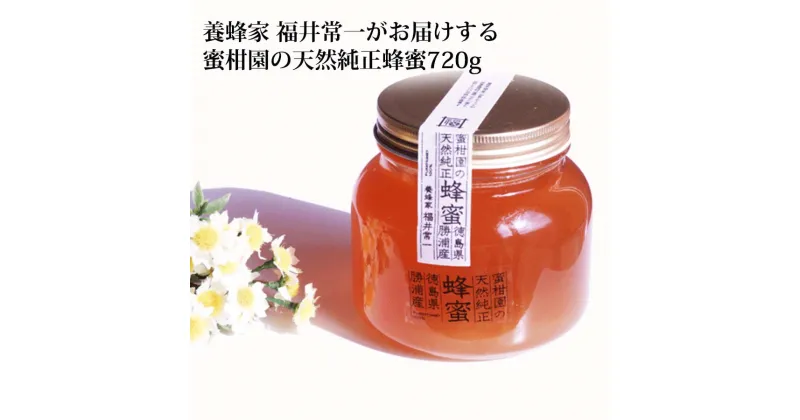 【ふるさと納税】蜜柑園の天然純正蜂蜜 720g