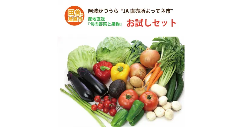 【ふるさと納税】阿波かつうら 農産物お試しセット