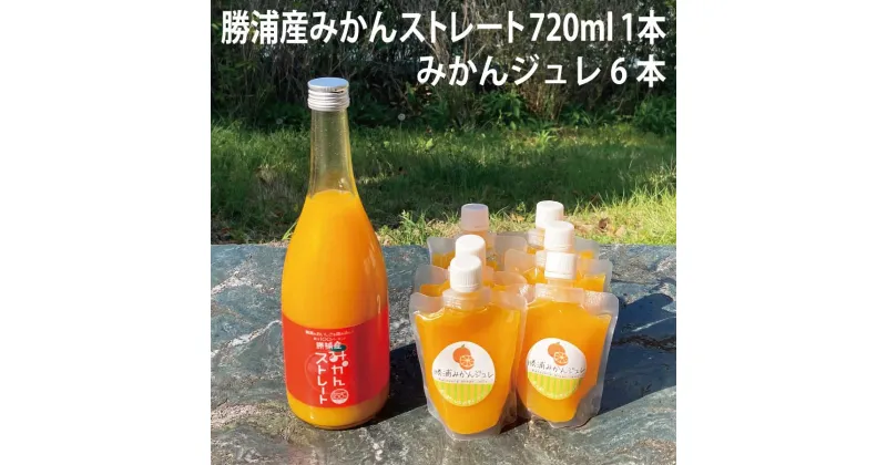 【ふるさと納税】勝浦産みかんストレート 720ml＋みかんジュレセット