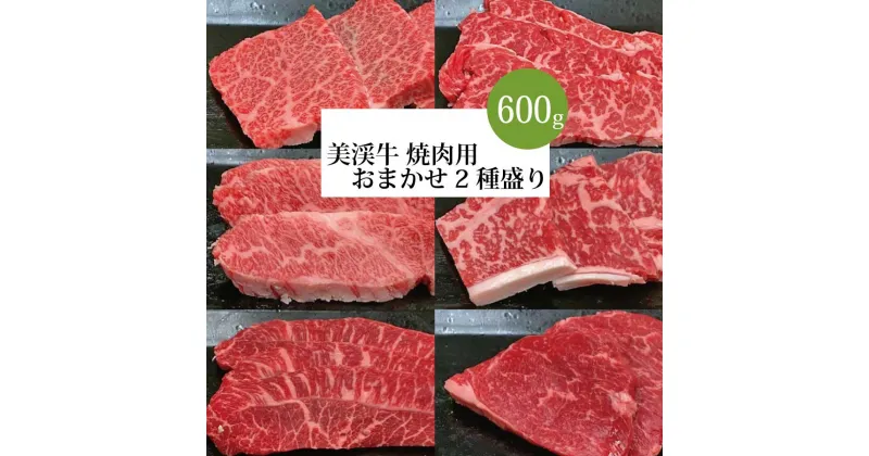 【ふるさと納税】 美渓牛 焼肉用 2種盛り 600g 和牛 おまかせ ( イチボ ミスジ ヒウチ カイノミ ランプ バラ ロース モモ クリ ハネシタ )