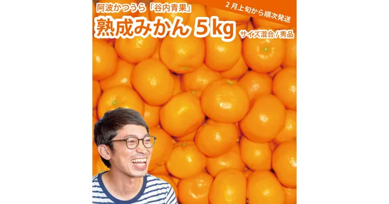 【ふるさと納税】谷内青果 熟成みかん 秀品 サイズ混合 5kg