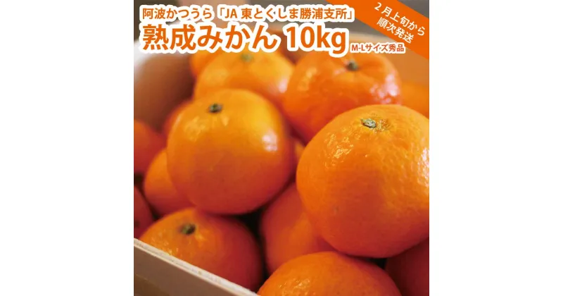 【ふるさと納税】JA東とくしま 勝浦熟成みかん 10kg M-Lサイズ 秀品