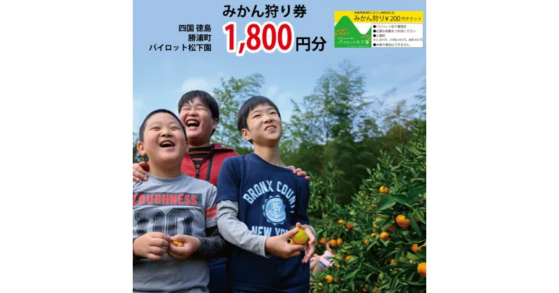 【ふるさと納税】パイロット松下園 みかん狩り券 1800円分