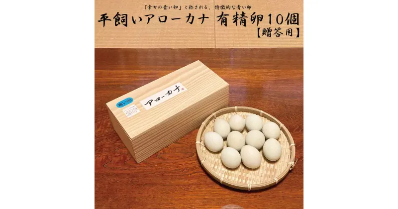 【ふるさと納税】アローカナ 鶏卵 10個