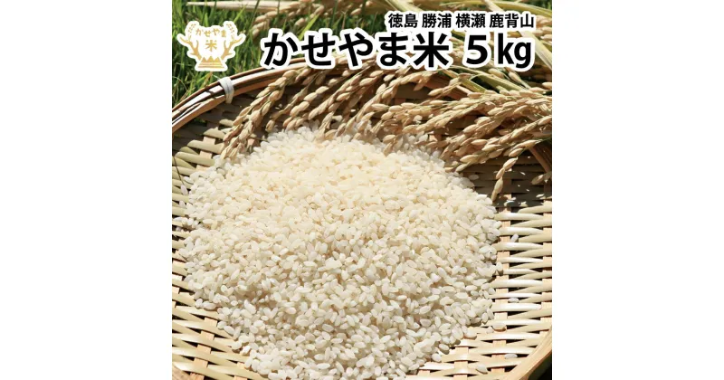 【ふるさと納税】かせやま米 5kg