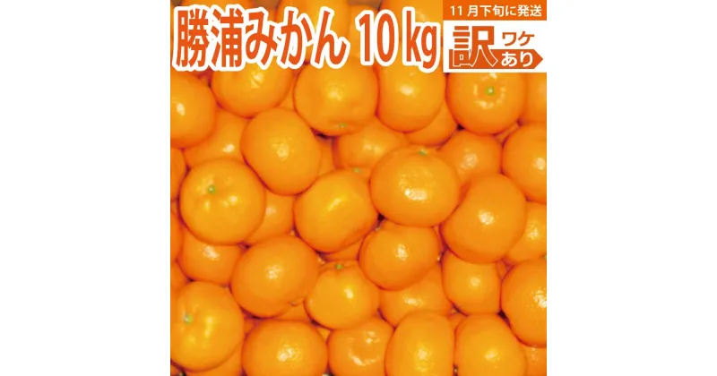 【ふるさと納税】谷内青果 早生みかん 訳あり 10kg