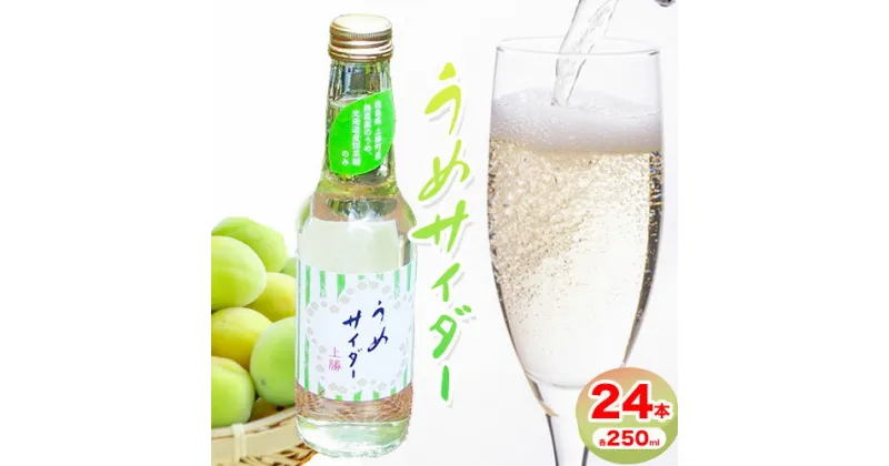 【ふるさと納税】うめサイダー 24本 各250ml 彩食品グループ 《30日以内に出荷予定(土日祝除く)》 徳島県 上勝町 送料無料 梅 うめ サイダー 飲み物 ジュース