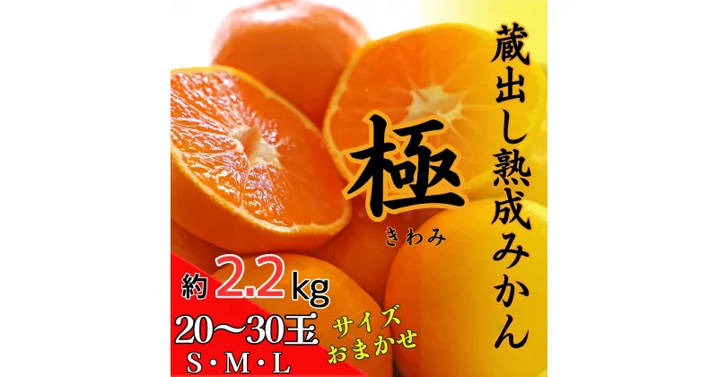 【ふるさと納税】蔵出し熟成みかん『極』※2025年2月中旬頃から発送　※離島不可[みかん ミカン 蜜柑 mikan 貯蔵 温州 うんしゅう 晩成 柑橘 佐那河内 さなごうち 徳島県 箱入り 化粧箱 S M L フルーツ 果物 くだもの 贈答 進物]