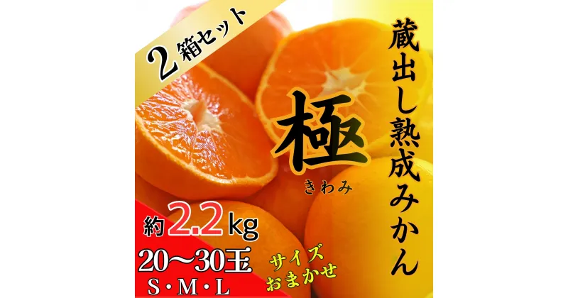 【ふるさと納税】2箱セット 蔵出し熟成みかん『極』　※2025年2月中旬頃から発送　※離島不可[みかん ミカン 蜜柑 mikan 貯蔵 温州 うんしゅう 晩成 柑橘 佐那河内 さなごうち 徳島県 箱入り 化粧箱 S M L フルーツ 果物 くだもの 贈答 進物]