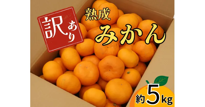 【ふるさと納税】訳あり熟成みかん　5kg　※2025年2月中旬頃から発送　※離島不可