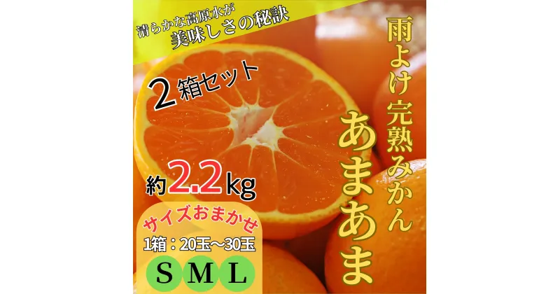 【ふるさと納税】2箱セット　雨よけ完熟みかん「あまあま」　※12月下旬頃から発送　※離島不可[みかん ミカン 蜜柑 早生 柑橘 佐那河内 徳島県 箱入り 化粧箱 S M L フルーツ 果物 くだもの 贈答 進物]