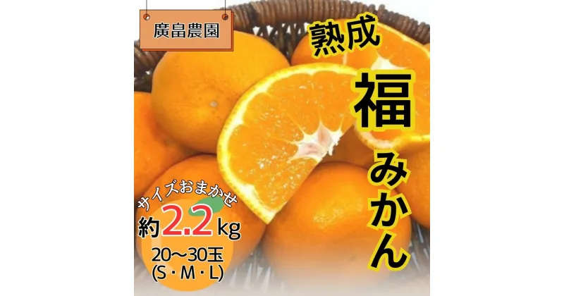 【ふるさと納税】熟成「福」みかん　※2025年2月初旬頃から発送　※離島不可