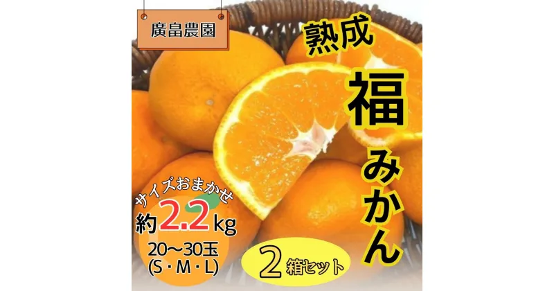 【ふるさと納税】2箱セット　熟成「福」みかん　※2025年2月初旬頃から発送　※離島不可