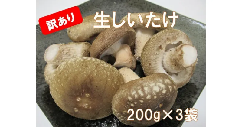 【ふるさと納税】『訳あり』生しいたけ　200g×3袋(サイズ混合)　※離島不可