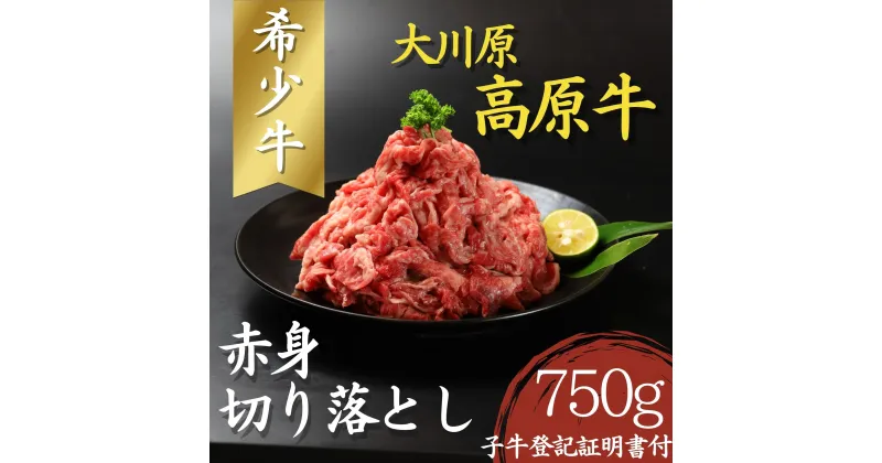 【ふるさと納税】大川原高原牛 赤身切り落とし　750g［和牛 希少 佐那河内 さなごうち 大川原高原 牛肉 赤身 もも肉 贅沢 あっさり 炒め物 煮物 肉じゃが すき焼き 牛丼 弁当 レシピ 手軽 冷凍 ギフト 贈答］