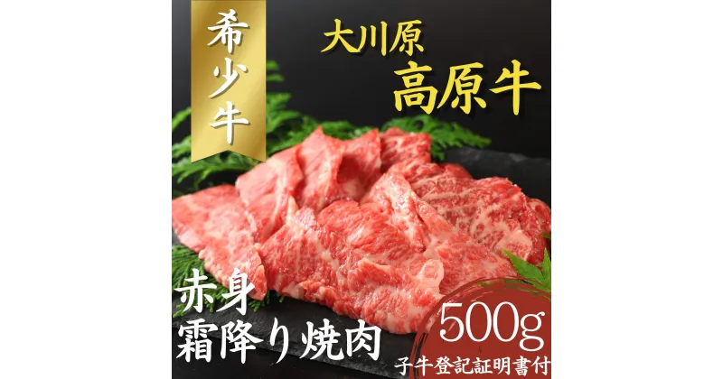 【ふるさと納税】大川原高原牛　赤身・霜降り焼肉用　500g［和牛 希少 佐那河内 さなごうち 大川原高原 牛肉 焼肉 赤身 贅沢 あっさり バーベキュー BBQ 夏休み キャンプ 弁当 レシピ 冷凍 ギフト 贈答］