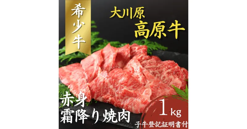 【ふるさと納税】大川原高原牛　赤身・霜降り焼肉　1kg［和牛 希少 佐那河内 さなごうち 大川原高原 牛肉 焼肉 赤身 贅沢 あっさり バーベキュー BBQ 夏休み キャンプ 弁当 レシピ 冷凍 ギフト 贈答］