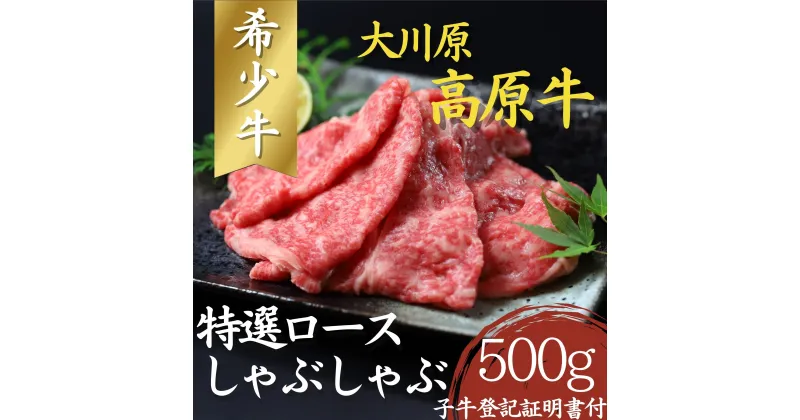 【ふるさと納税】大川原高原牛　特選ロースしゃぶしゃぶ　500g［和牛 希少 佐那河内 さなごうち 大川原高原 牛肉 鍋 特選 ロース 贅沢 冷しゃぶ サラダ 牛丼 弁当 レシピ 冷凍 ギフト 贈答］