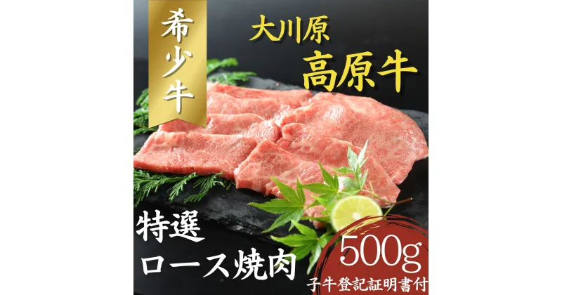 【ふるさと納税】大川原高原牛　特選ロース焼肉　500g［和牛 希少 佐那河内 さなごうち 大川原高原 牛肉 焼肉 ロース 贅沢 バーベキュー BBQ 夏休み キャンプ 弁当 レシピ 冷凍　ギフト 贈答］