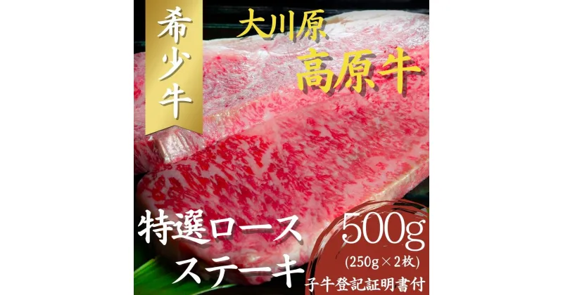 【ふるさと納税】大川原高原牛　特選ロースステーキ　500g(250g×2枚)［和牛 希少 佐那河内 さなごうち 大川原高原 牛肉 ステーキ ロース 贅沢 弁当 レシピ 冷凍 記念日 贈り物 ギフト 贈答］