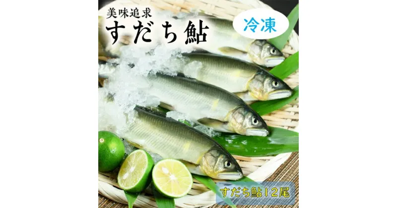 【ふるさと納税】阿波の鮎　美味追求　すだち鮎12尾　(冷凍)