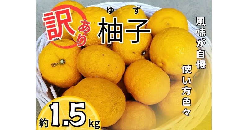 【ふるさと納税】訳あり柚子（約1.5kg）※11月中旬頃から発送　※離島不可[ユズ ゆず 佐那河内 さなごうち 徳島 とくしま 訳あり 訳アリ 産地直送 不揃い ]