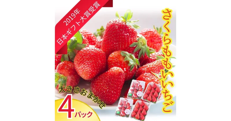 【ふるさと納税】さくらももいちご( 4パック入り)　※2025年1月上旬頃から発送　※北海道・沖縄・離島への配送不可［佐那河内産 ブランドいちご ギフト大賞 ジューシー 高級 パック 化粧箱］
