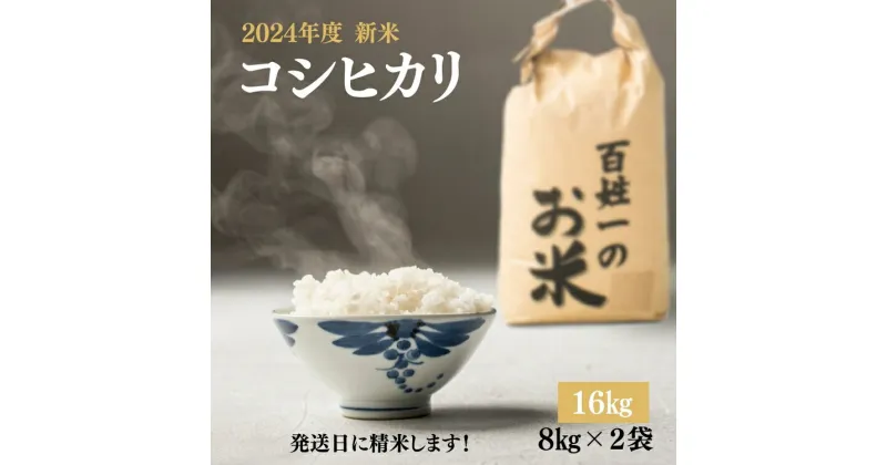 【ふるさと納税】031-001　先行予約/石井町産コシヒカリ16kg(8kg×2) ※2024年9月上旬以降に順次発送予定 ※離島への配送不可◇