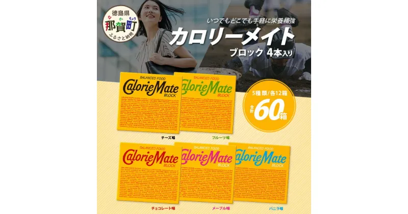 【ふるさと納税】【大塚製薬】カロリーメイトブロック 計60箱 1箱4本入り 5種類 各12箱 チョコ バニラ メープル チーズ フルーツ MS-2［ビタミン ミネラル たんぱく質 脂質 糖質 5代栄養素 徳島県 那賀町 防災 仕事 勉強 スポーツ 受験応援 非常食 常備食 災害 新生活 受験］