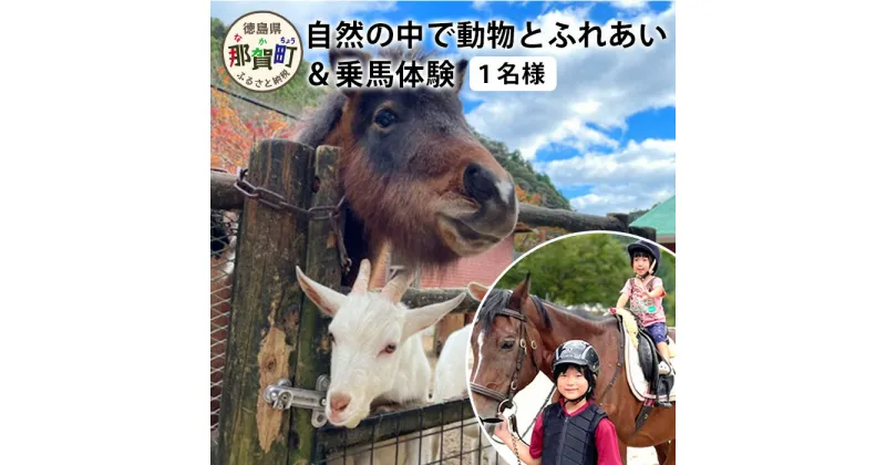 【ふるさと納税】自然の中で動物とふれあい＆乗馬体験（1名）CC-1