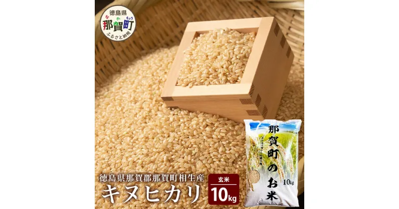 【ふるさと納税】那賀町相生産 キヌヒカリ 玄米 10kg【徳島 那賀 国産 徳島県産 こめ おこめ 米 お米 ごはん ご飯 げんまい 玄米 キヌヒカリ 10kg 和食 おにぎり お弁当 食べて応援 ギフト プレゼント 母の日 父の日】YS-5-4